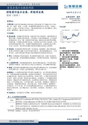 有色金属行业跟踪周报：持续看好基本金属、新能源金属