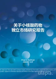 医药行业：关于小核酸药物独立市场研究报告