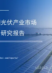 2021年中国光伏产业市场前景及投资研究报告：双循环专题