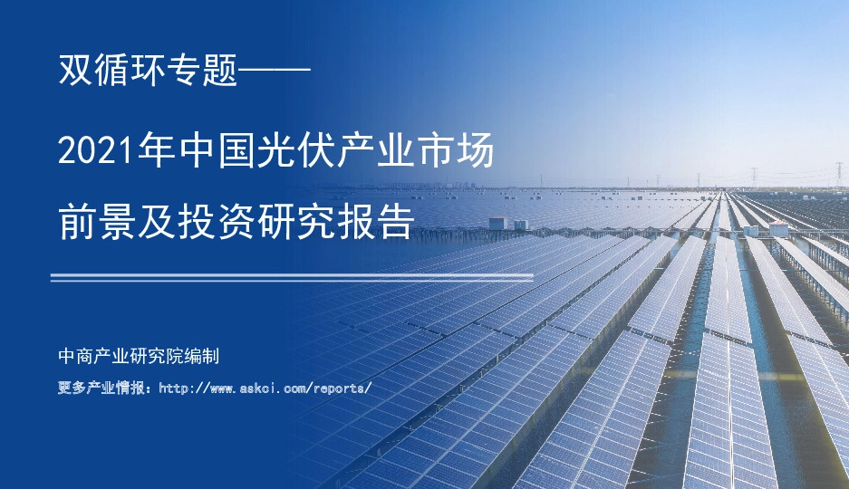 2021年中国光伏产业市场前景及投资研究报告：双循环专题