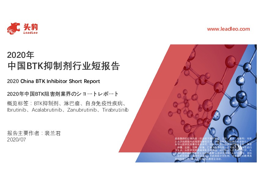 2020年中国BTK抑制剂行业短报告