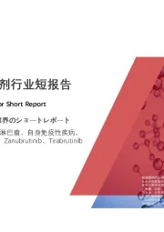 2020年中国BTK抑制剂行业短报告