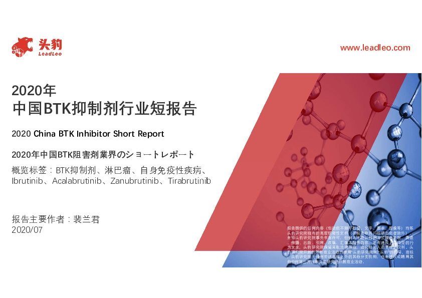 2020年中国BTK抑制剂行业短报告