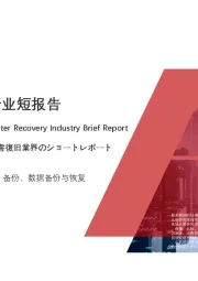 2020年中国云灾备行业短报告