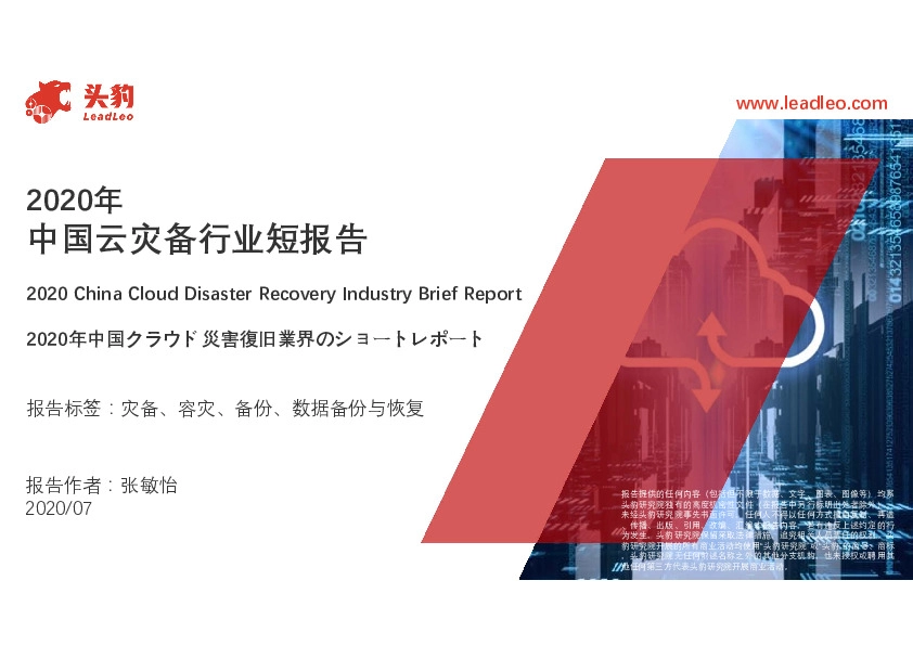 2020年中国云灾备行业短报告