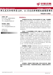 新能源行业周报：两大龙头加码布局LFP，11月光伏新增装机继续高增长