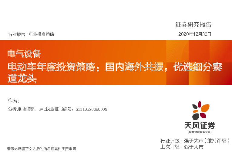 电动车年度投资策略：国内海外共振，优选细分赛道龙头