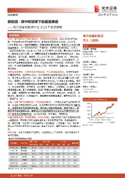 电力设备新能源行业2021年投资策略:新能源:碳中和背景下的最强赛道
