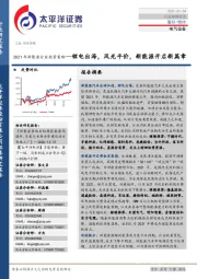 2021年新能源行业投资策略：锂电出海，风光平价，新能源开启新篇章