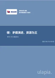 锂：矛盾演进，资源为王