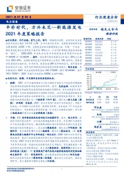 新能源发电2021年度策略报告：平价时代，方兴未艾