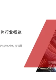 2020年中国存储器芯片行业概览