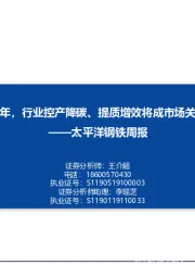 钢铁周报：开局之年，行业控产降碳、提质增效将成市场关注焦点