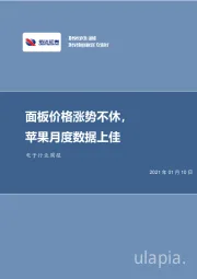 电子行业周报：面板价格涨势不休，苹果月度数据上佳