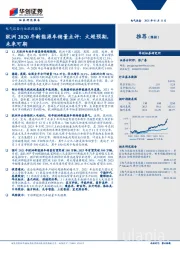 电气设备行业跟踪报告：欧洲2020年新能源车销量点评：大超预期，未来可期