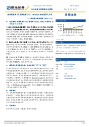 新能源车板块周报：欧洲新能车12月渗透率20%，锂电池产业链高景气不变