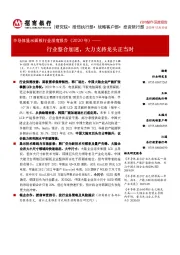 半导体显示面板行业深度报告（2020年）：行业整合加速，大力支持龙头正当时