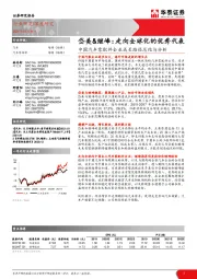 中国汽车零配件企业成长路径总结与分析：岱美&继峰：走向全球化的优秀代表