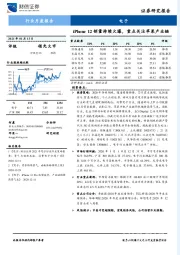 电子行业月度报告：iPhone 12销量持续火爆，重点关注苹果产业链
