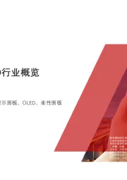 2020年中国AMOLED行业概览