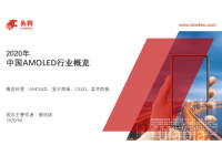 2020年中国AMOLED行业概览
