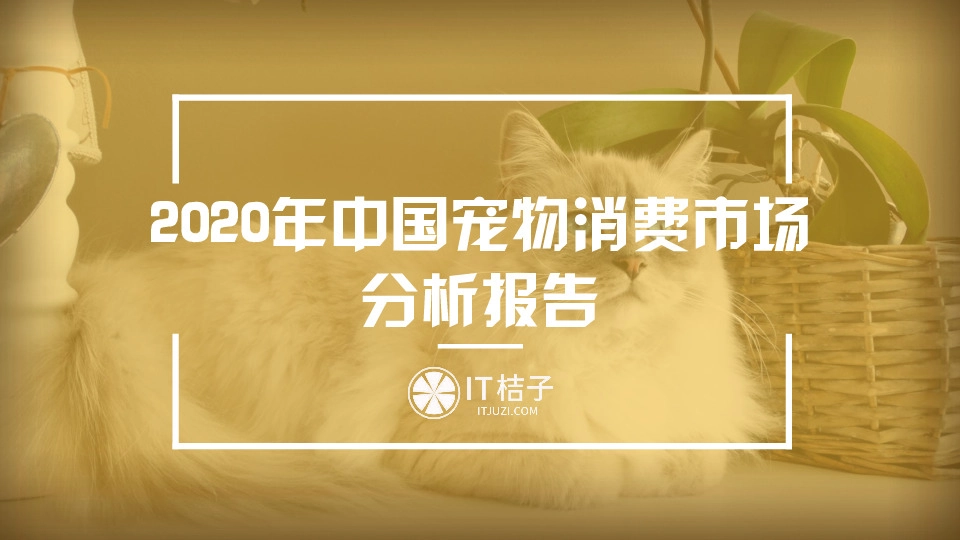 消费：2020年中国宠物消费市场分析报告