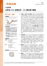 电子行业周报：台积电20Q4业绩出炉，CES展会落下帷幕