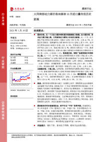 煤炭行业2021年1月份月报:大同南郊动力煤价格和煤炭12月进口量均创历史新高