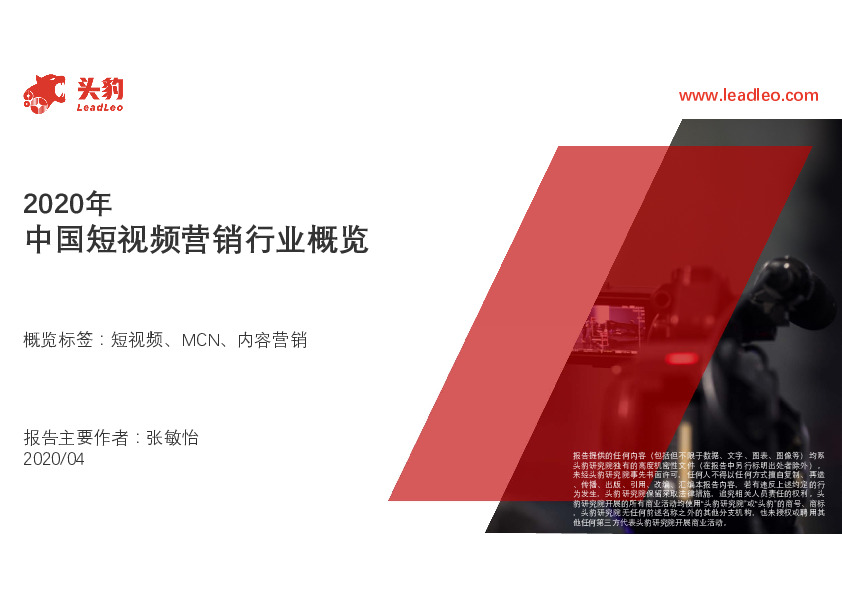 2020年中国短视频营销行业概览