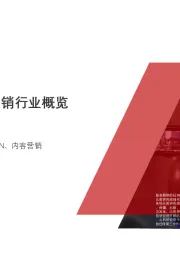 2020年中国短视频营销行业概览