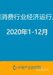 2020年1-12月中国零售消费行业经济运行月度报告