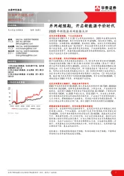 电力设备与新能源：2020年新能源并网数据点评-并网超预期，开启新能源平价时代