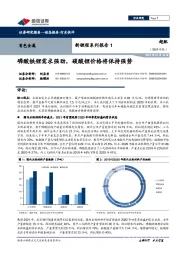 有色金属：新锂程系列报告1-磷酸铁锂需求强劲，碳酸锂价格将保持强势