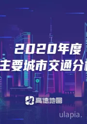 交通行业：2020年度中国主要城市交通分析报告