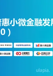 中国普惠小微金融发展报告（2020）