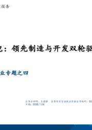 平价风电行业专题之四：深度报告：掘金风电：领先制造与开发双轮驱动之路