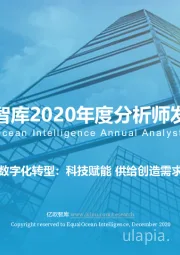 2020年度分析师发布会：数字化转型：科技赋能 供给创造需求