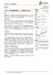 化工行业专题研究：2020Q4持仓配置显著回升，龙头聚焦效应明显