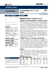 电力设备新能源2021年2月投资策略：新能源勇往直前 电动化如日方升