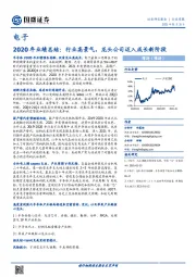 电子行业-2020年业绩总结：行业高景气，龙头公司迈入成长新阶段