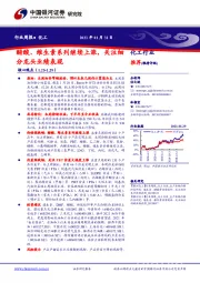 化工行业周报：醋酸、维生素系列继续上涨，关注细分龙头业绩表现