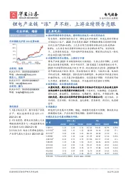 电气设备行业周报：锂电产业链“涨”声不断，上游业绩预告亮眼