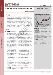 新材料板块周观点：国产碳纤维为21年C919顺利交付保驾护航