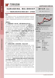 “推进药品集采常态化制度化意见”点评报告：完善药品集采制度，推进三医联动改革