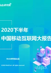 2020下半年中国移动互联网大报告