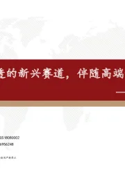 机器视觉行业专题：加速渗透的新兴赛道，伴随高端制造共成长