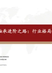 轴承行业专题报告-国产大轴承进阶之路：行业格局解析