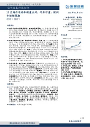 12月海外电动车销量点评：年末冲量，欧洲市场超预期