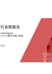 2021年中国潮流玩具行业短报告