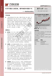 新材料板块周观点：北京冬奥会火炬亮相，碳纤维壳体质感十足